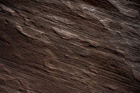 Dark Desert Varnish Textureの写真素材