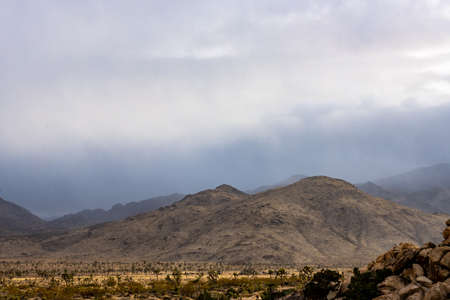 Fog and Clouds Bring a Rain Shower to Joshua Trees Mountains in winterの写真素材