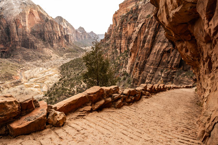 Wide Trail Heads Downhill into zion canyon from angels Landing along the West Rim
