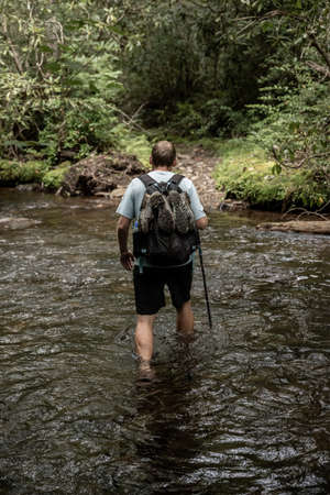 Man Fords Calf Deep Creek along Caldwell Fork Trail in Great Smoky Mountains National Park
