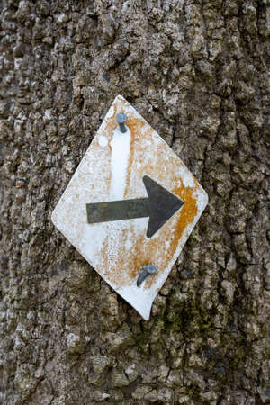 Right Arrow on Blaze and Tree Bark along hiking trailの写真素材