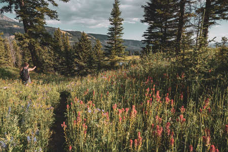 Woman Points Off In Thje Distance In Field of Paintbrush Flowers