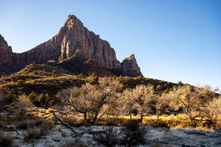 The Watchmen Stand Tall Over Bare Trees In Winter in Zion National Parkの写真素材