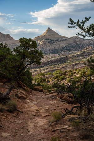 Trail Heads Toward Ferns Nipple Formationの写真素材