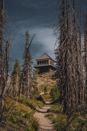 Trail Ends at The Mount Brown Fire Tower After Steep Climb in Glacier National Parkのeditorial素材