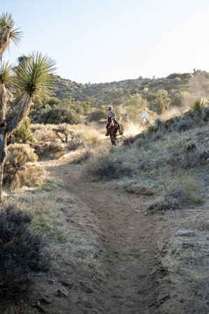 Joshua Tree National Park, United States: February 26, 2021: Horseback Riders Head Down The California Hiking Trail In Joshua Tree National Parkのeditorial素材