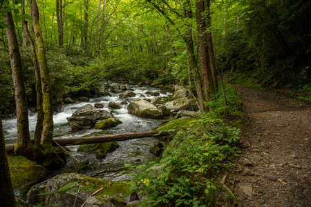 Wide Trail Running Along Big Creek in Great Smoky Mountains National Park