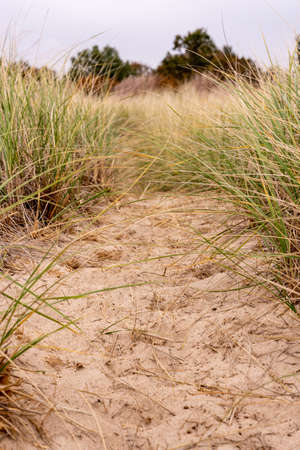Low Angle View of Trail Through Sand Dunes along the shore of Lake Michiganの写真素材
