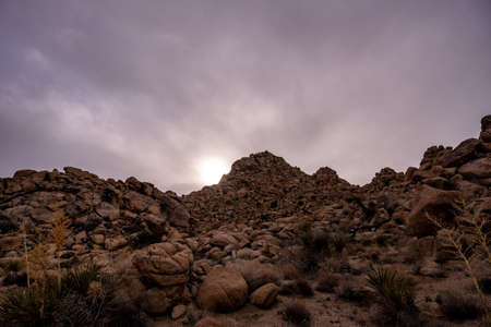 Last Light of the Day Glows Over Boulder Covered Hillside in Joshua treeの写真素材