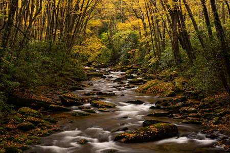 Water Swirling Around Rocks In Straight Fork Creek in Autumn