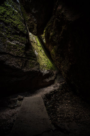 Morning Light Hits Mossy Wall On Bear Gulch Cave in Pinnacles National Parkの写真素材