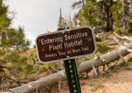 Entering Sensitive Plant Habitat Sign to try to protect bristlecone pine trees in Bryce Canyon National Parkの写真素材