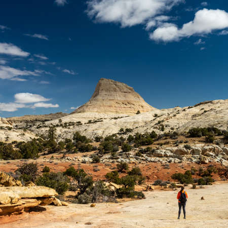 Woman Hiker Stares Off At Unnamed Formation in Capitol Reef National Parkの写真素材