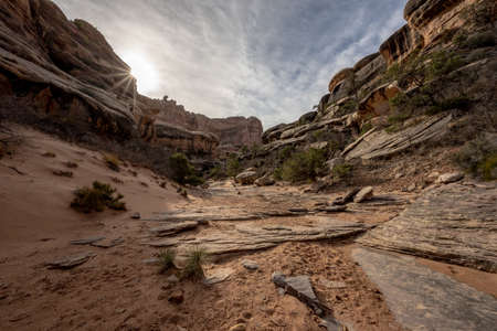 Sunburst Pops Over Canyon Walls Onto A Dry Wash in Canyonlands National Park