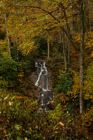 Upper Woodfin Falls Flowing In Autumn along the Blue Ridge Parkway