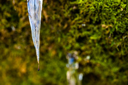 Bit of Dirt Clinging to Icicle in Great Smoky Mountains National Parkの写真素材