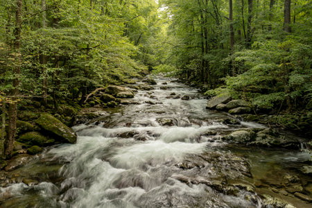 Looking Down Big Creek Cascading Down Hillside in Great Smoky Mountains National Parkの写真素材