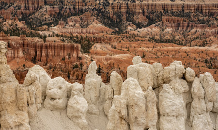 White Hoodoos in front of the Bryce Canyon Ampitheater in summerの写真素材