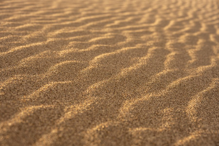 Golden Sand Sparkles Across Surface of Dunes in Great Sand Dunes National Park
