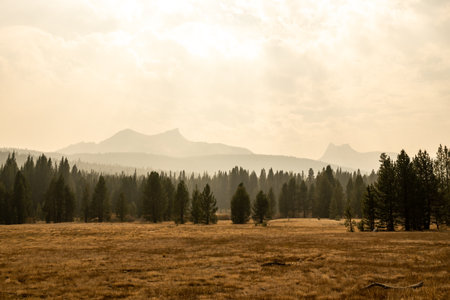 Thick Forest Fire Smoke Hangs Over Tuolumne Meadows in Yosemite National Parkの写真素材