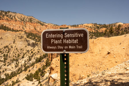 Reminder to Stay on Trail in Bryce near sensitive plant habitat of bristle cone pine treesの写真素材