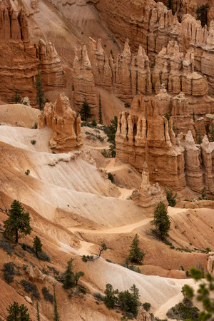 Dizzying Layers of Hoodoos Surround Winding Trail in Bryce Canyon National Parkの写真素材