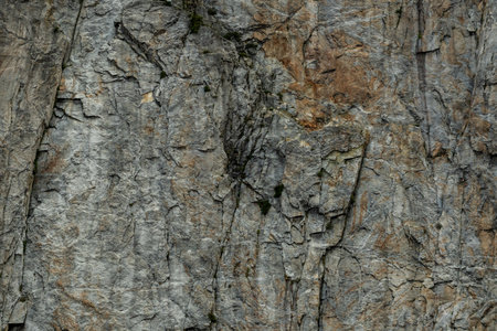 Flaking Texture Of Granite Wall In Shadow in Yosemite National Park