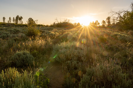 Sunburst Over Narrow Hiking Trail on the East Mesa in Zion National Parkの写真素材