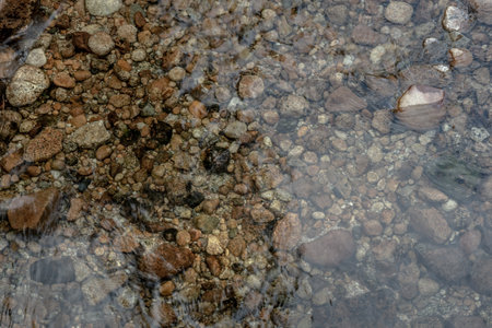 Brown Pebbles Underwater of the Shallow Tuolumne River in Yosemite