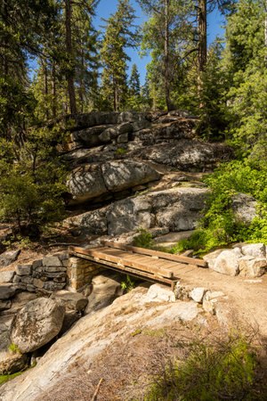 Bridge Over Creek heading out of Lodgepole Campground in Sequoia toward the General Sherman areaの写真素材