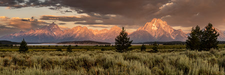 Morning Light Panorama from Behind Sagebrush in Grand Teton National Parkの写真素材