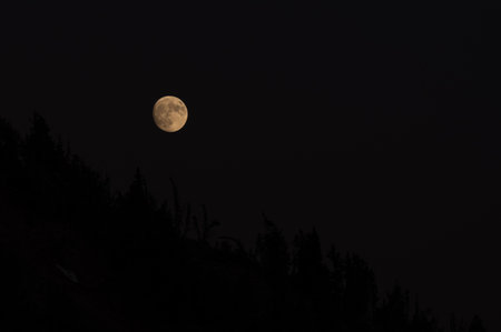 Bright Moon Hangs In The Sky Over Dark Silhouettes Of Forestの写真素材