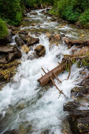 Paintbrush Creek Rushes Toward Jenny Lake near bottom of Canyon in Grand Teton National Parkの写真素材