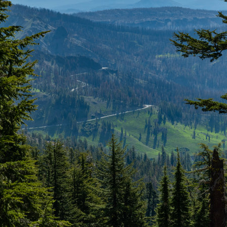 Lassen Scenic Highway Winds Up Toward the Mountains in summerの写真素材