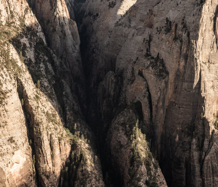 Crack in the Zion Canyon Across from Deer Trap Mountain on the East Rimの写真素材