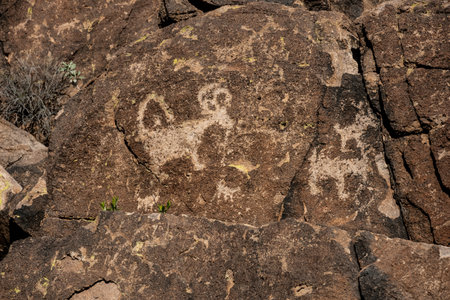 Pictographs On Brown Rock In Saguaro National Park close upの写真素材