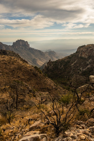 Forest Fire Damage Looks Over Casa Grande Peak In Big Bend National Parkの写真素材