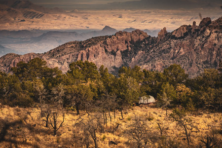 Backcountry Campsite Tucked into Trees in the Chisos Mountains of Big Bendの写真素材