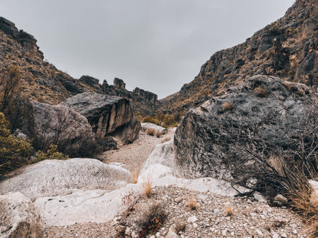 Large Rocks In The Boulder Field Along Strawhouse Trail In Big Bendの写真素材