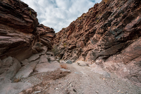 Upper Burro Mesa Pouroff Trail Cuts Through Canyon Walls in Big Bendの写真素材