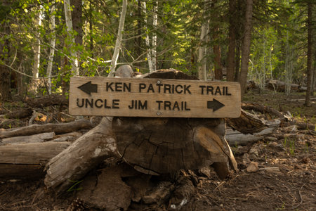 Ken Patrick and Uncle Jim Trail Junction In Grand Canyon National Parkの写真素材