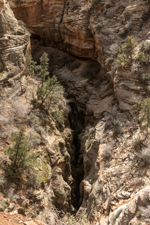Tight Slot Canyon Below The Canyon Overlook Trail In Zion National Parkの写真素材