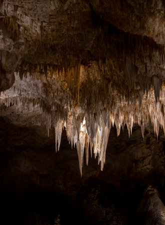 Stlactites Form The Chandelier In Carlsbad Caverns National Parkの写真素材