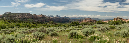 Ridges Of Zion Canyon Seen From Kolob Terrace in Zion National Parkの写真素材
