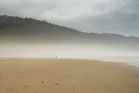 Foggy Layers Settles Over Oregon Beach in late afternoonの写真素材