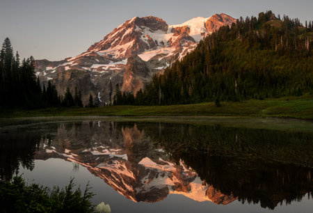 Pink Evening Light Hits Mount Rainier and Its Reflection in Aurora Lake in Klapatche Park