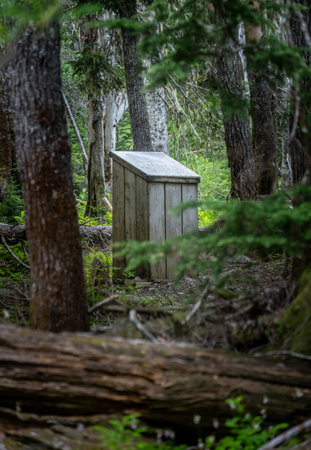 Wooden Outhouse at Campground in Olympic National Park in summerの写真素材