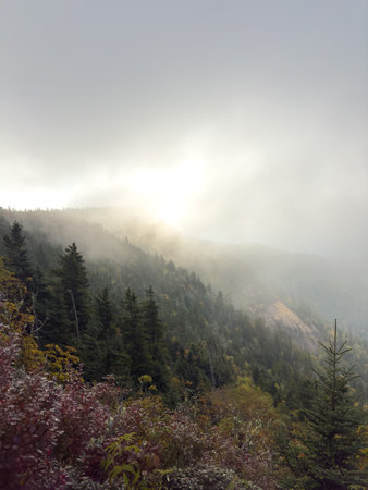 Morning Sun Hightlights Fog Over Myrtle Point in Great Smoky Mountains National Park