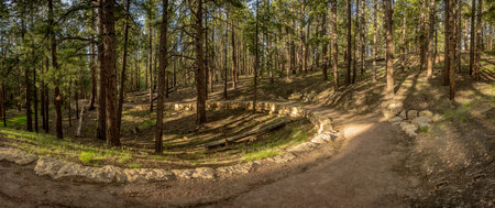 Sweeping Curve Along The Bridal Trail Along The North Rim Of Grand Canyon National Park