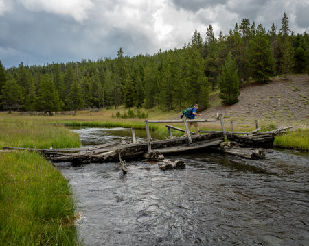 Single Hiker Crossing Damaged Bridge Along Mary Mountain Trail in Yellowstone National Parkの写真素材